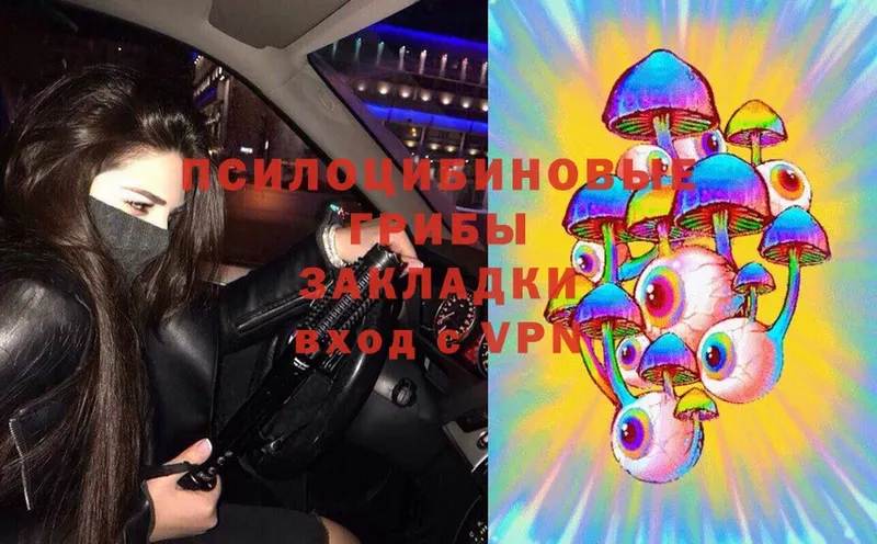 mega ссылки  Йошкар-Ола  Галлюциногенные грибы Psilocybe 